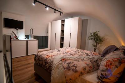 il canto della sirenetta