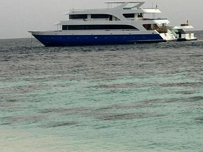 Maldives Safary Tours