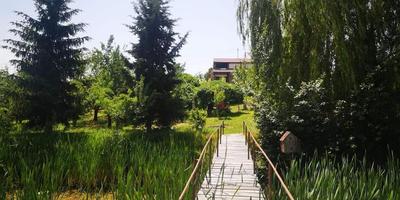 Garden of Eden