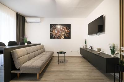 Classy apartments in city centar