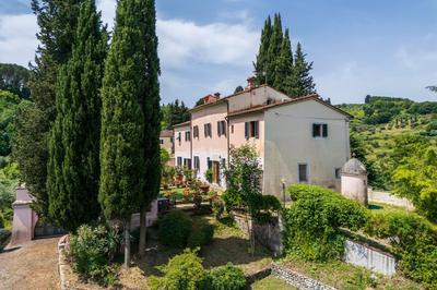 IL GAMBURLACCIO