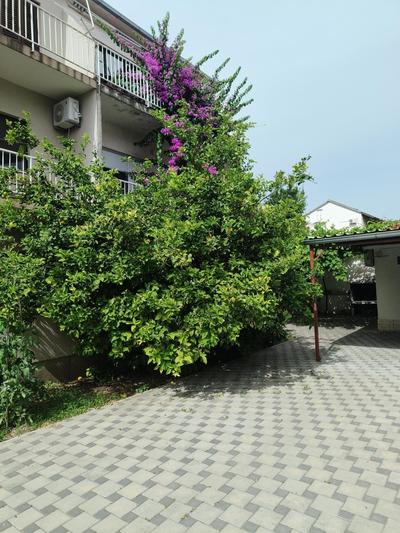 apartman Ante
