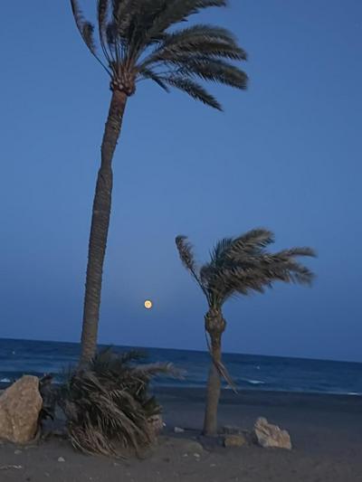 Las Brisas