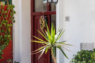 Marylee's studio Old town Rethymno #1 Adults Only