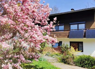 Wellness- HotTub & Sauna- Pet Friendly- Hiking