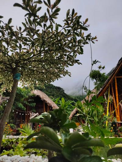 Bamboo Homestay