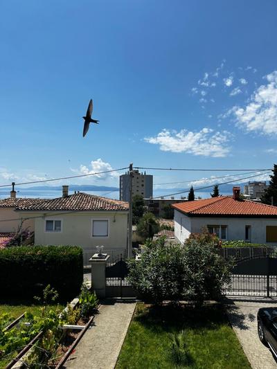 Apartment Rijeka Zamet 500m from Sea, free Parking, near to Center Zamet
