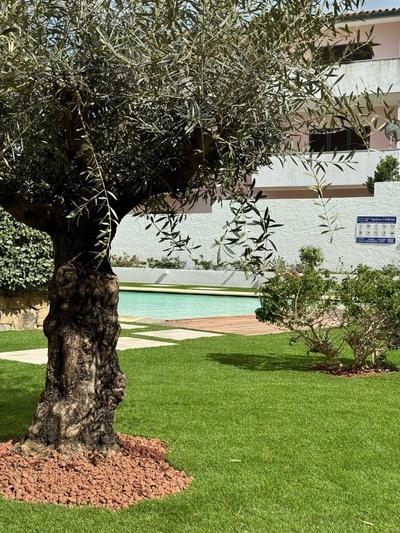 Sardinia Seaside Eden