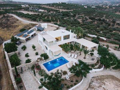 Villa Olympia in the palm trees