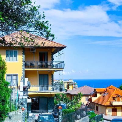 Vista mare tra gli ulivi