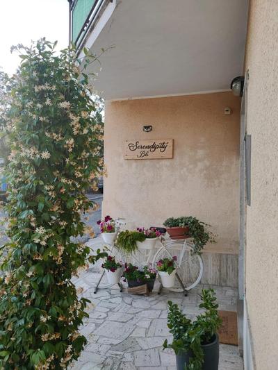 SERENDIPITY B&b