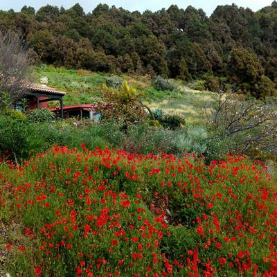Casa el Retiro en Mazo