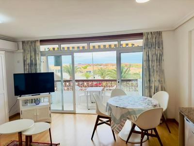Oasis Palmar house