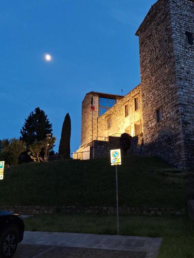 La tana del geco
