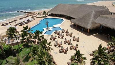 Royal Horizon Baobab