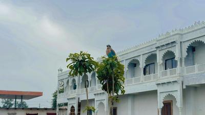 Shri Vishwanath Resort