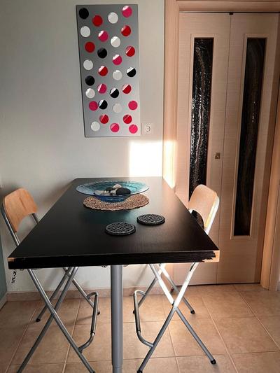 Mosquito Guest House 2