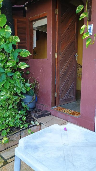 Flats Mundos Golfinhos