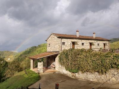 Le Chianine dei Tognoli