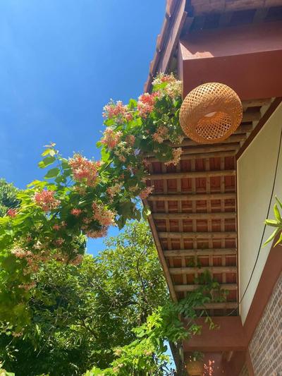 Thuy Xuyen Tam Coc Homestay