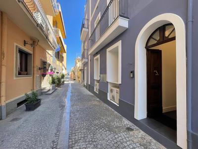 Luxurious 1BR Apartment - Historical Centre - Fully Equipped & Renovated - Garibaldi#3