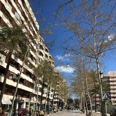 Preciosa en GANDIA a 5 min del centro histórico