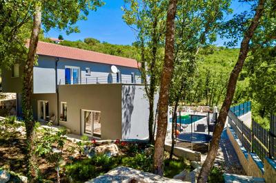 Luxury Villa Andrea Vrzika in forest near the sea with heated pool