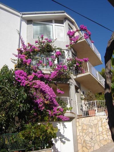 Apartment Bajuti