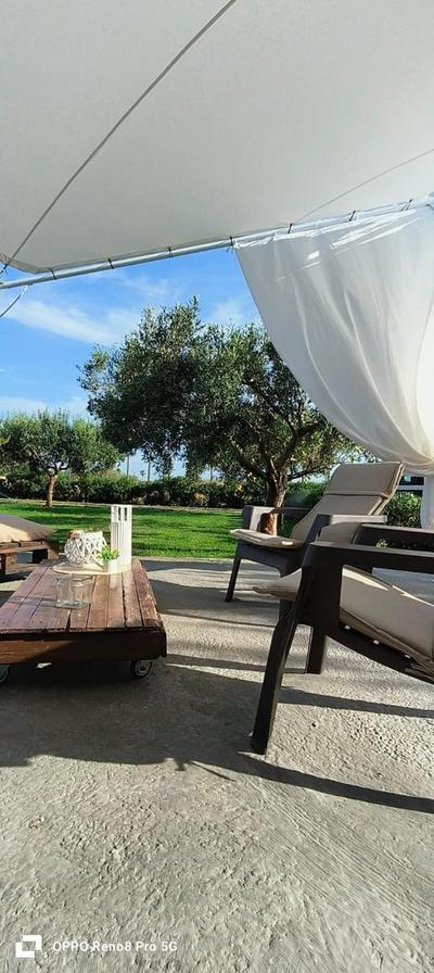 La corte degli ulivi