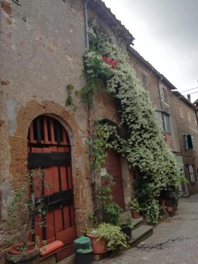 Charming House in Barbarano Romano with Terrace and Fireplace