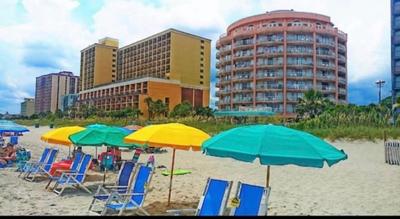 "Seas the Day" at St Clements