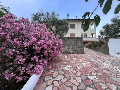casa di Katia