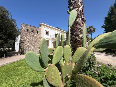 Villa Madama Depandance