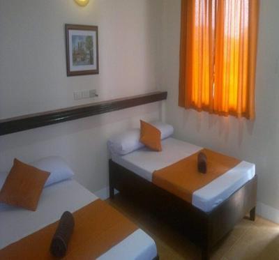 Mayon View Garden Apartelle Sa Bukid