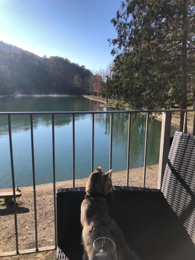 W il silenzio!