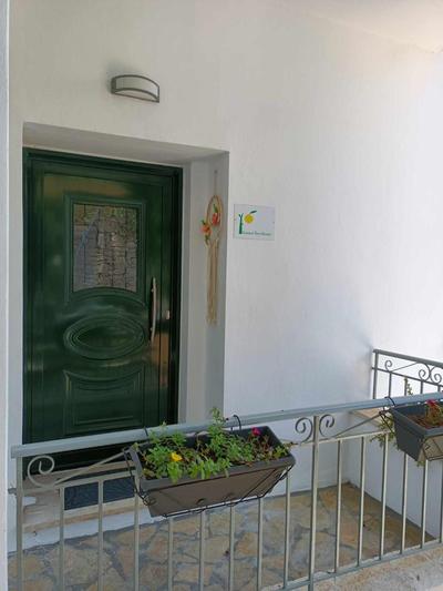 Lemon Tree House