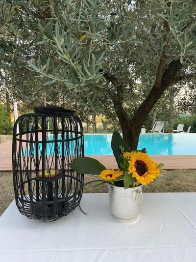 La villa di San Rocco