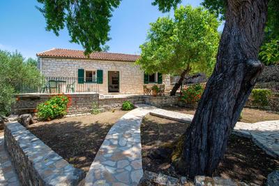 The Old One by All About Paxos