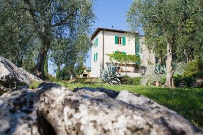 Rustiko-Landhaus mit Infinity-Pool und Seeblick