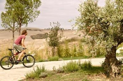 Ferienwohnung in Volterra mit Gemeinschaftspool