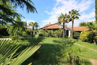 Ferienhaus Manja in Porec mit gepflegtem Garten