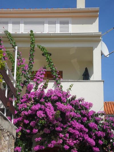 Große Ferienwohnung In Zadar Mit Privatem Balkon