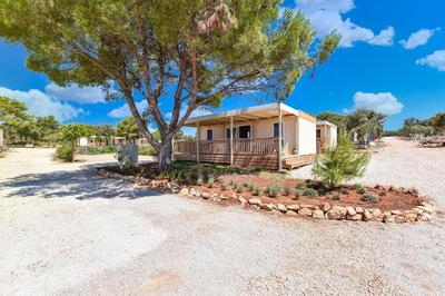 Mobilheim für 6 Personen ca 40 qm in Ugljan, Dalmatien Inseln vor Zadar