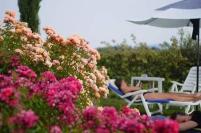 Panorama Wohnung Il Girasole