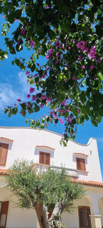 Villa Guajira