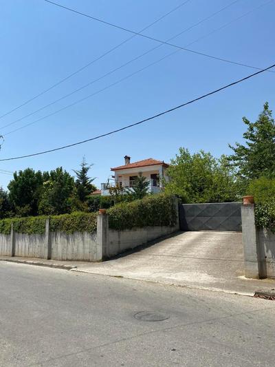 SpitiAyia