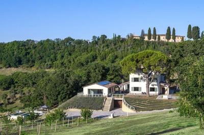 Tolles Ferienhaus in Saltara mit Privatem Pool
