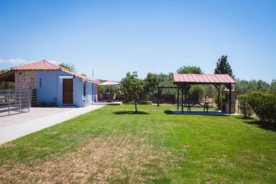 Armonia House