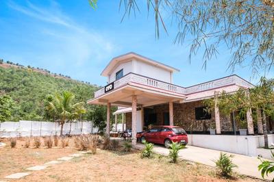 Collection O Palm Exotica