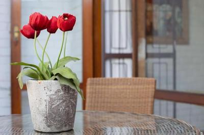 Your own space in the leafy Cape